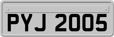 PYJ2005