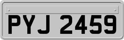 PYJ2459