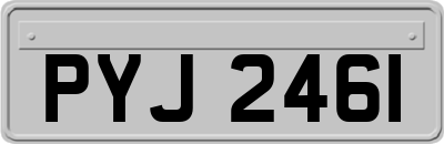 PYJ2461