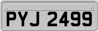 PYJ2499