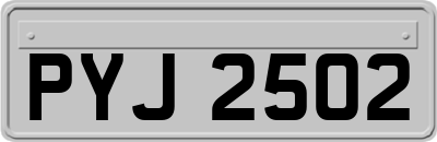 PYJ2502