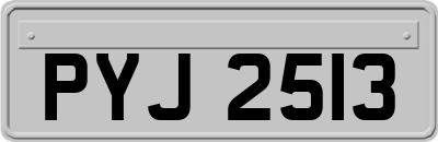 PYJ2513