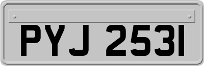 PYJ2531