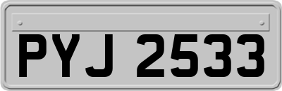 PYJ2533