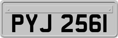 PYJ2561