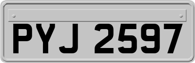 PYJ2597