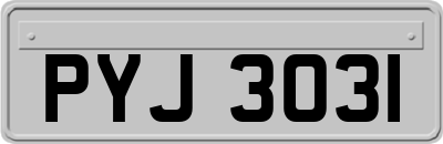 PYJ3031