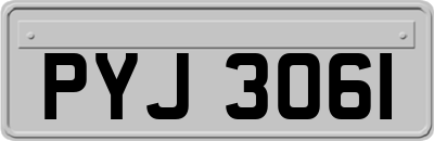 PYJ3061