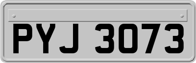 PYJ3073