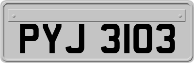 PYJ3103