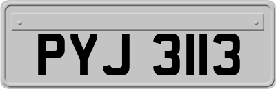 PYJ3113