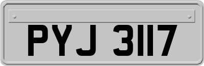 PYJ3117