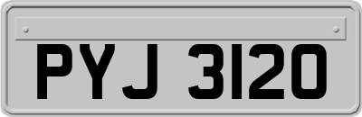 PYJ3120