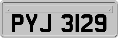 PYJ3129