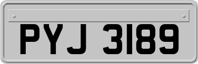 PYJ3189