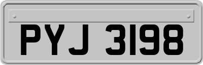 PYJ3198