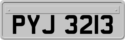 PYJ3213