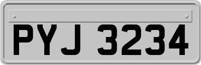 PYJ3234