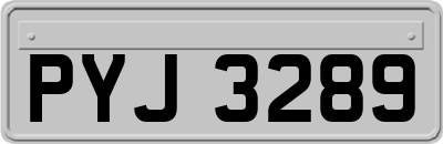 PYJ3289