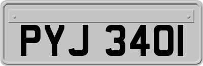 PYJ3401