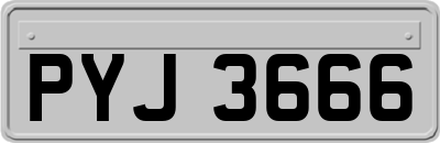 PYJ3666