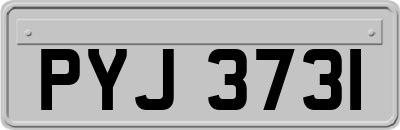 PYJ3731