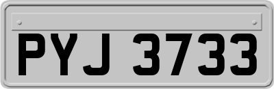 PYJ3733