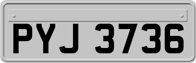 PYJ3736