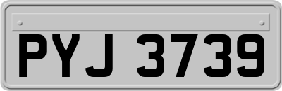 PYJ3739