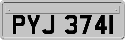 PYJ3741