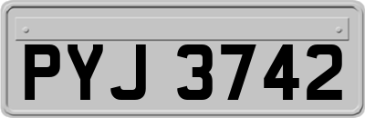 PYJ3742