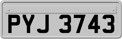 PYJ3743