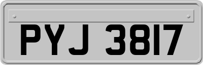 PYJ3817