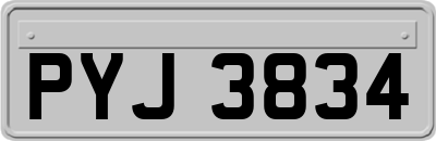 PYJ3834