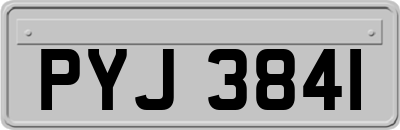 PYJ3841