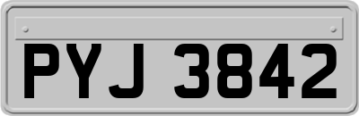 PYJ3842