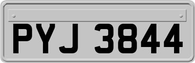 PYJ3844