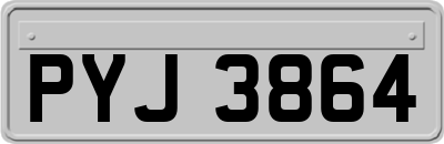 PYJ3864