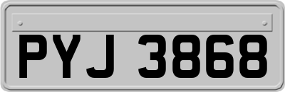 PYJ3868