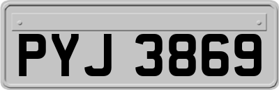 PYJ3869