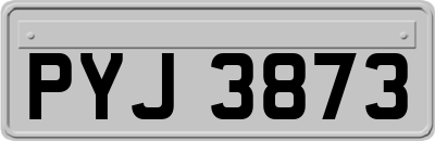 PYJ3873