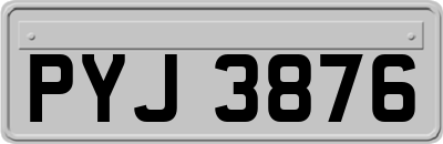 PYJ3876