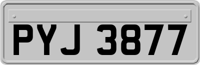 PYJ3877