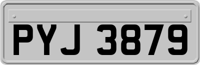 PYJ3879