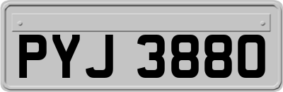 PYJ3880