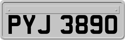 PYJ3890