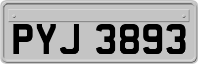 PYJ3893