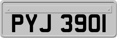 PYJ3901