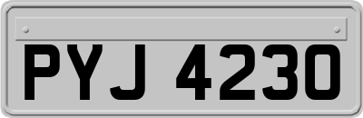 PYJ4230