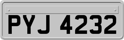 PYJ4232